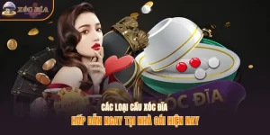 Các loại cầu xóc đĩa hấp dẫn ngay tại nhà