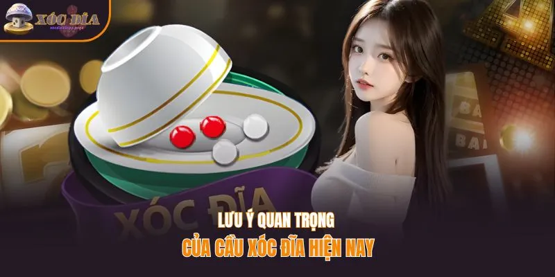 Lưu ý quan trọng của cầu xóc đĩa hiện nay